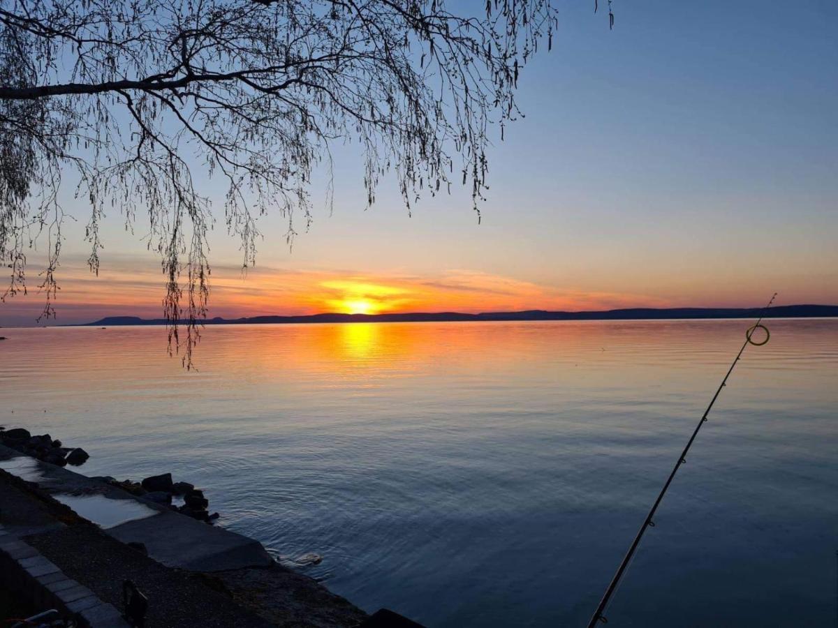 Topartihaz Balatonszarszo Bagian luar foto