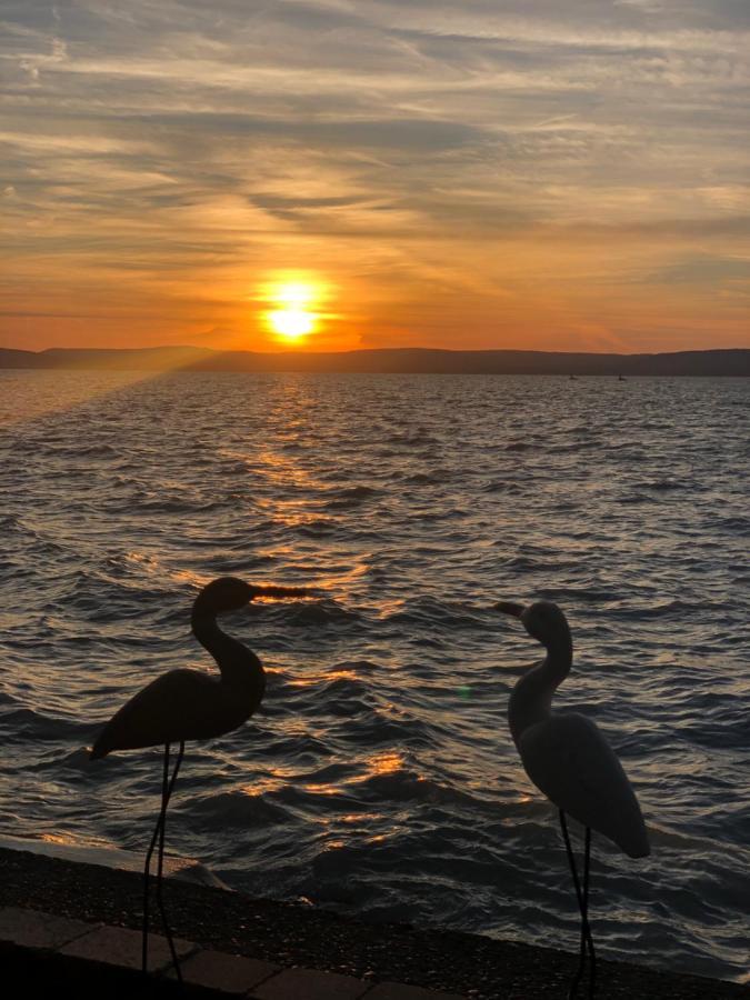 Topartihaz Balatonszarszo Bagian luar foto